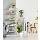 ARDES 5T802 Oszlop ventilátor